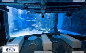 432206_10151358421535076_773320075_23078752_276798731_n